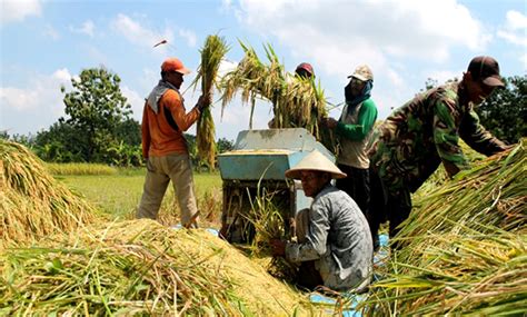 Situs Resmi Pemkab Bojonegoro