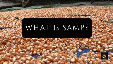 Is Samp Healthy to include in your diet? | Karien CSN Diet