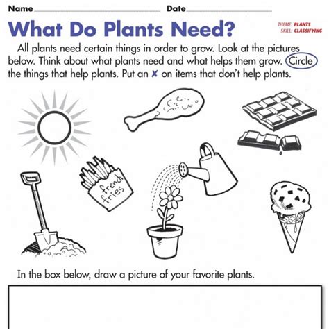 Free Science Worksheets K5 Worksheets