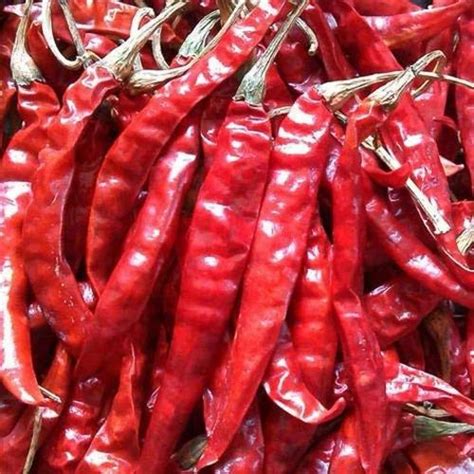 Guntur Dry Red Chilli With Stem At Kg In Ahmedabad Id