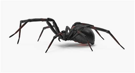 3d Walking Black Widow