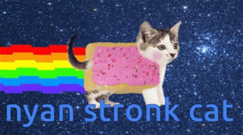 Nyan Cat Gif - IceGif