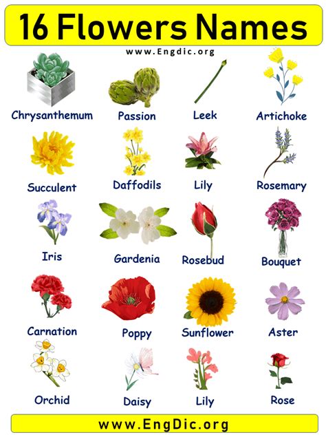 15 flowers names with pictures – Artofit