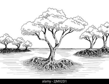 Jungle River Gr Fico Blanco Negro Paisaje Dibujo Ilustraci N Vector