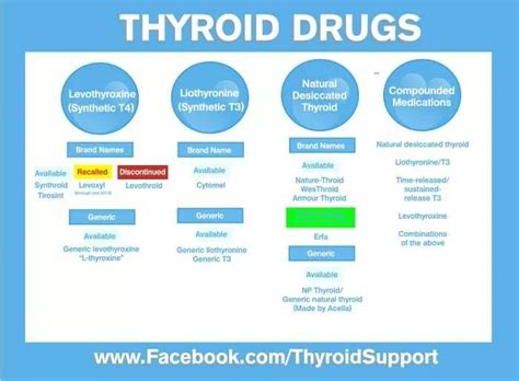 inspiration today: Natural Thyroid Treatment and Information You Should ...