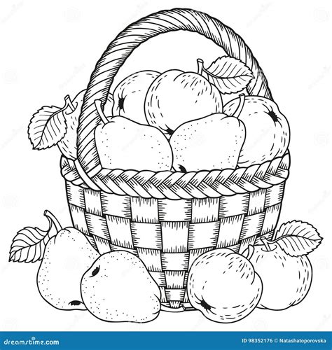 Apples In A Basket Coloring Pages