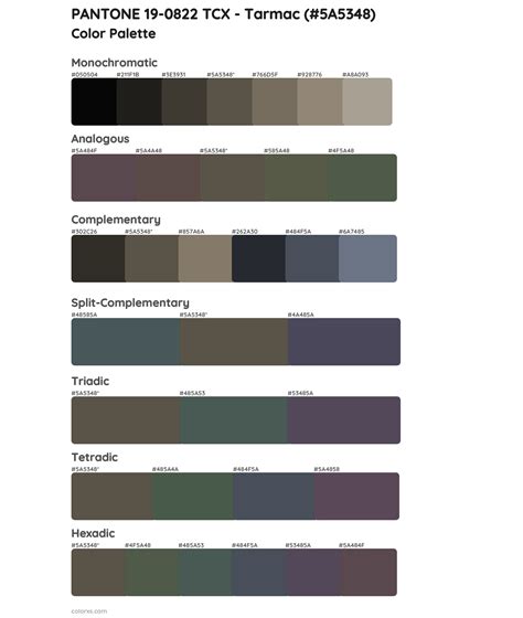 Pantone 19 0822 Tcx Tarmac Color Palettes