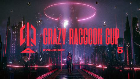 Crazy Raccoon Cup Cr Crazy Raccoon Cup