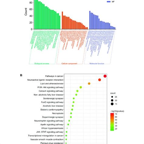 GO And KEGG Analysis A BP MF And CC Categories In GO Analysis Of