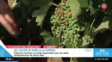 La Primera Gran Ola De Calor En Extremadura Trae Efectos Tambi N