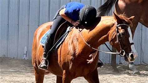 Jumping Penny High Jumps Lesson Spicy Pony Bucking Claire