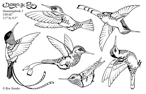 Jamaica National Bird Coloring Sketch Coloring Page