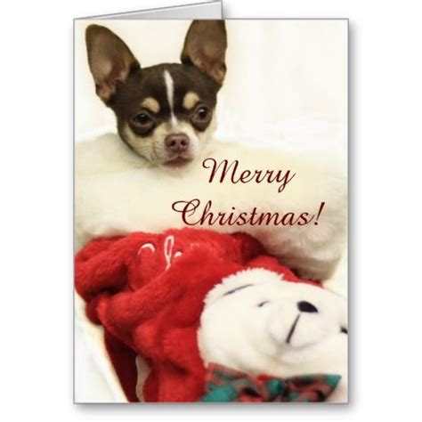 Merry Christmas Chihuahua Greeting Card Zazzle Merry Christmas