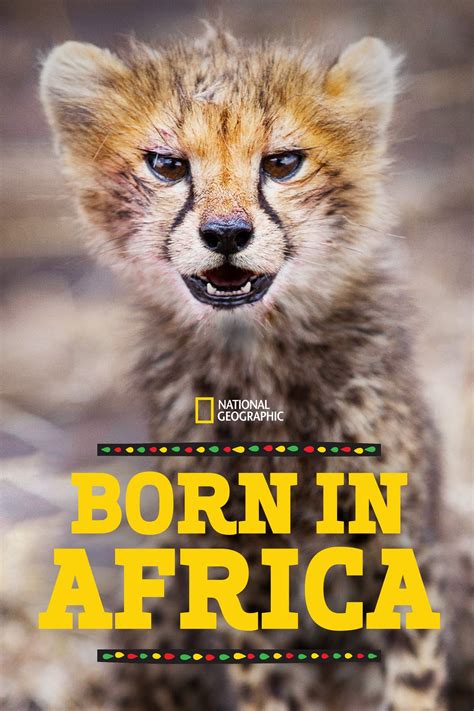 Born In Africa Tv Series 2018 2019 Posters — The Movie Database Tmdb