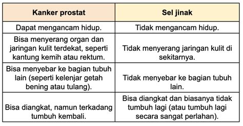 Apa Itu Kanker Prostat Ciri Penyebab Dan Cara Mencegah Super You