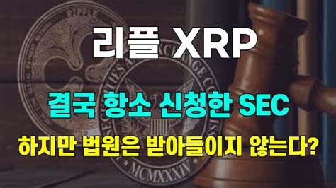 리플 Xrp 결국 항소 신청한 Sec 하지만 법원은 받아들이지 않는다 Youtube