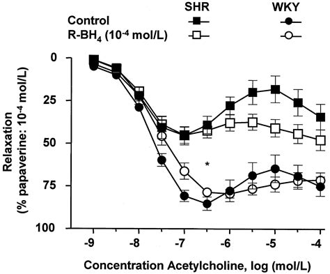 Specific Potentiation Of Endothelium Dependent Contractions In Shr By