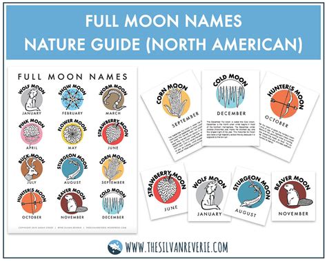 Full Moon Names of North America Poster Fact Cards and ID | Etsy