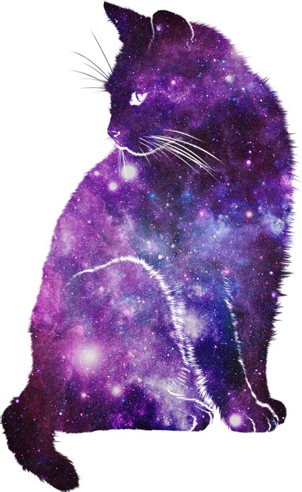 Galaxy Cat Iphone Background