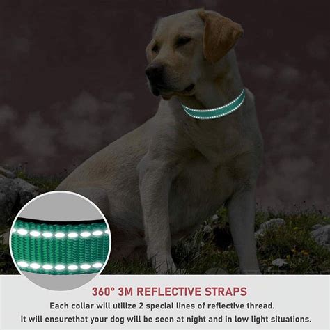 Reliable Glow In The Dark Dog Collar Comfortable Adjustable And Safe