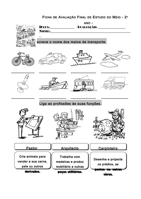 Fichas De Avaliacao 2 Ano Estudo Do Meio