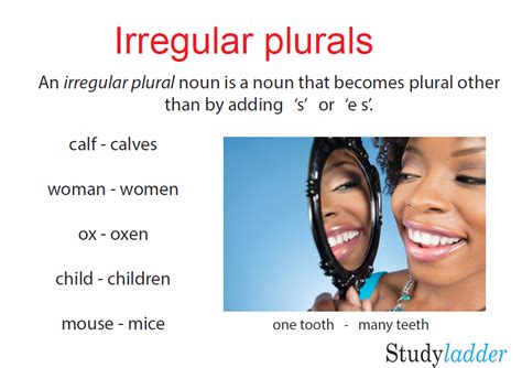 irregular plurals studyladder interactive learning games