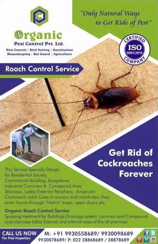 Roaches Pest Control Services at Rs 1500/square inch | termite control ...