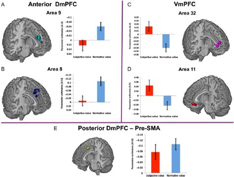 Subjective And Normative Value In MPFC Different Profiles Of Response