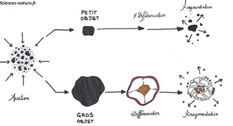 De Latmosphère Primitive à Latmosphère Actuelle Sciences Naturefr