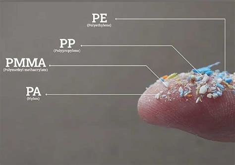 Micro Plastics In Australias Drinking Water Hello Water Filtration Co