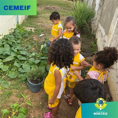 Creche Municipal Naides Rodrigues Ribeiro Da Cruz - O projeto na Creche... - Prefeitura Municipal de Nova Cruz