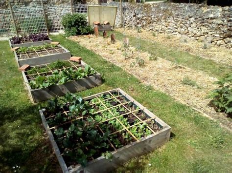 Quelle Profondeur Pour Un Potager En Carr Spot Jardin