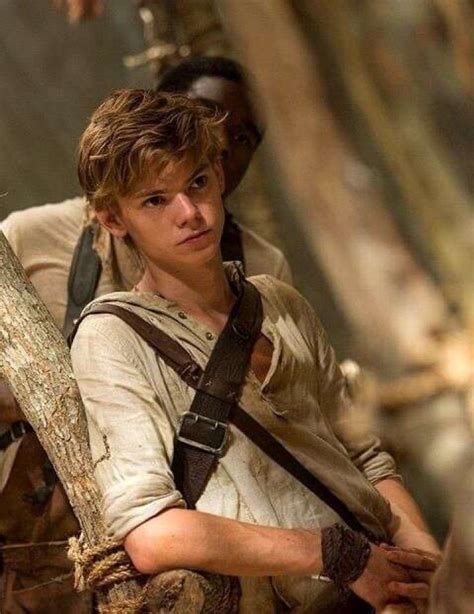 thomas brodie-sangster | Maze runner movie, Maze runner thomas, Newt ...