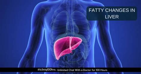 I Have Grade One Fatty Liver How To Improve My Health