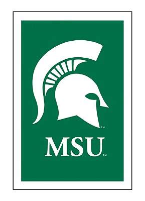 Michigan State University House Flag