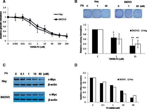 10058 F4 Inhibits Cell Proliferation In Ovarian Cancer Cells Skov3 And Download Scientific