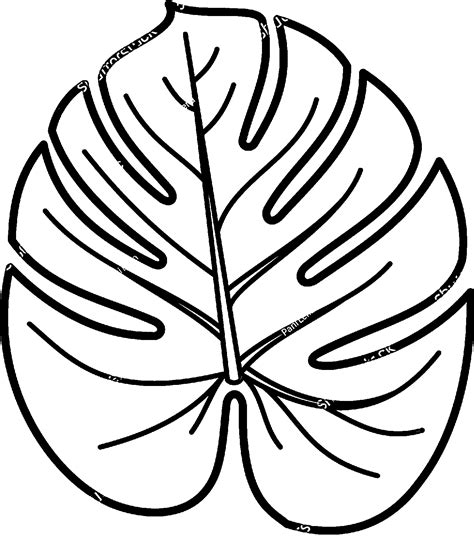 Printable Rainforest Coloring Pages Beautiful Tropical Leaf Drawing At