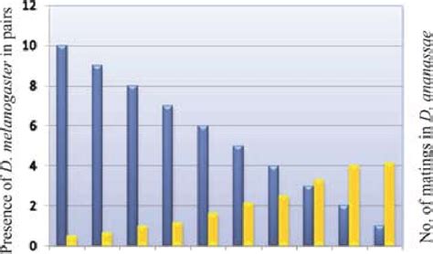 Number Of Formed Couples Of D Ananassae Yellow Bars According To