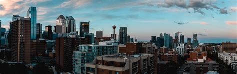 parallel media  parallel