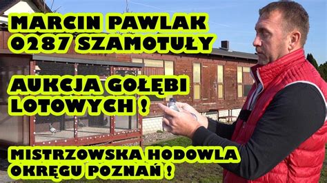 Marcin Pawlak 0287 Szamotuły Aukcja gołębi lotowych Mistrzowska