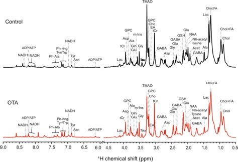 An Integrated Systems Level Model Of Ochratoxin A Toxicity In The