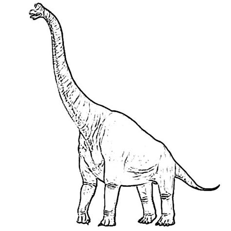 Brachiosaurus Coloring Page For Kids : Color Luna