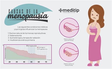 Menopausia Causas S Ntomas Tratamientos Y Modificaciones Del Estilo