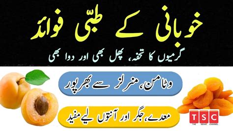 Khubani Khane Ke Fayde Benefits Of Eating Apricot In Urduhindi Youtube