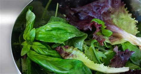 How To Keep Bagged Salad Crisp And Fresh For Weeks Uk