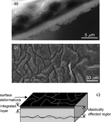 A SEM Image Of A Carbon Black Reprocessed Freeze Fractured Side Chain