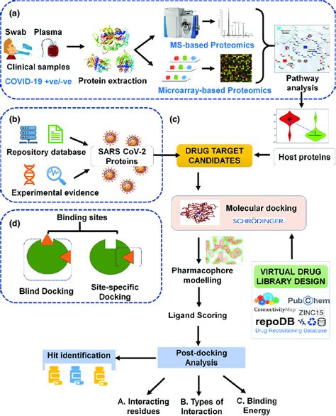 Represents The Drug Repurposing Strategy Directly Translated From