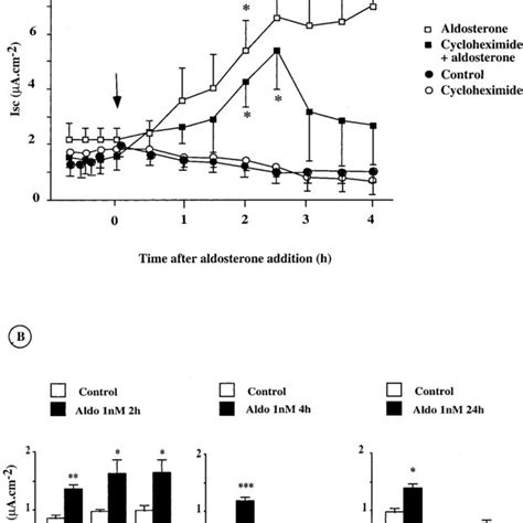 Effect Of Cycloheximide And Actinomycin D Act D On The Download