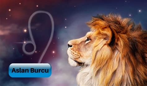 Aslan Burcu Hangi Ay Aslan Burcu Kadını ve Erkeği Özellikleri Nelerdir