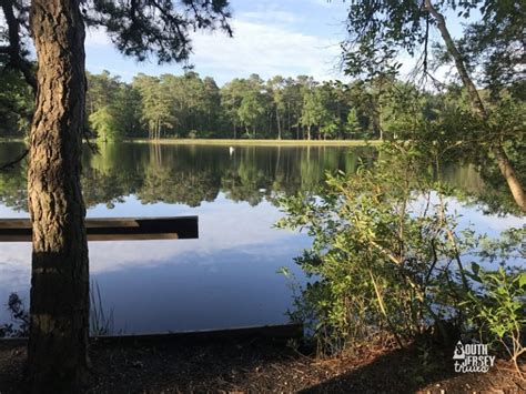 Belleplain State Forest Woodbine Nj South Jersey Trails